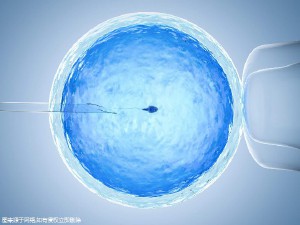 沪上生殖医学中心